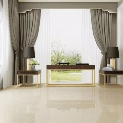 Gạch Viglacera TS2 612