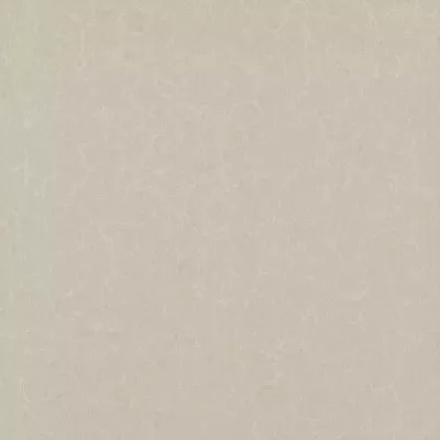 Gạch Viglacera TS2 617