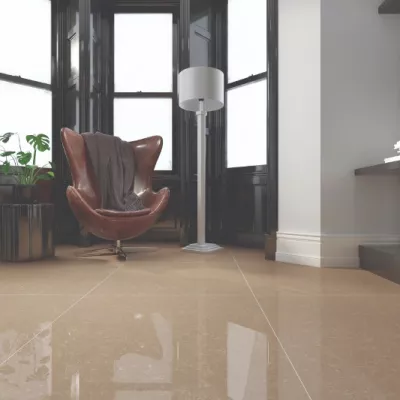 Gạch Viglacera TS2 810