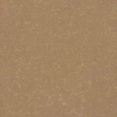 Gạch Viglacera TS2 810