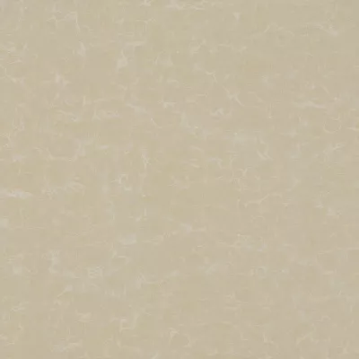 Gạch Viglacera TS2-812