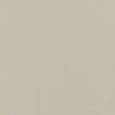 Gạch Viglacera TS5 600