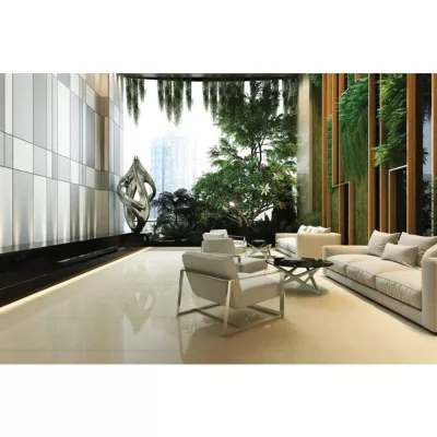 Gạch Viglacera TS5 602