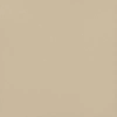 Gạch Viglacera TS5 602