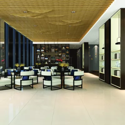 Gạch Viglacera TS6 601