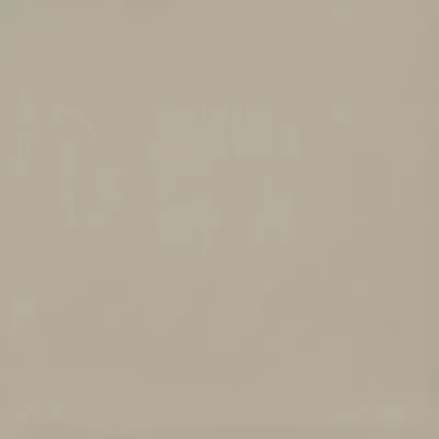 Gạch Viglacera TS6 601