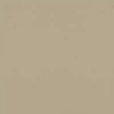 Gạch Viglacera TS6 602