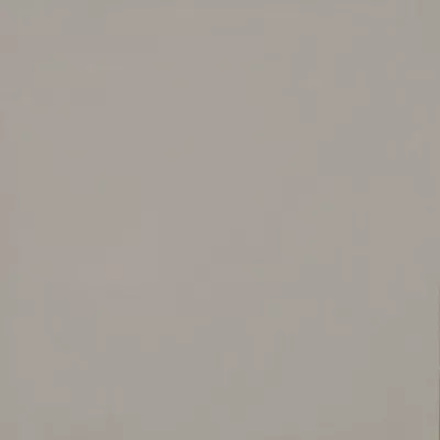 Gạch Viglacera TS6 603