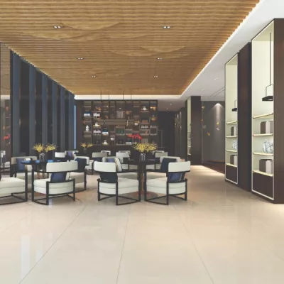 Gạch Viglacera TS6 801