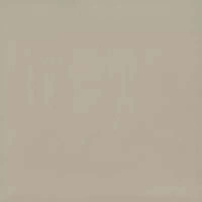 Gạch Viglacera TS6 801