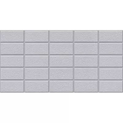 Gạch Viglacera UBS2503