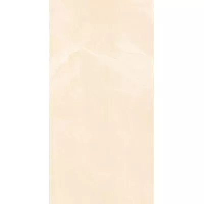 Gạch Viglacera UN24-GP61202