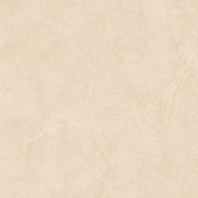 Gạch Viglacera VHP8802