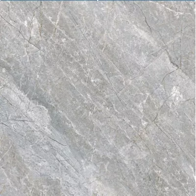 Gạch Viglacera VV-GP6603