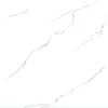 Gạch Viglacera VV-GP6605