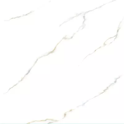 Gạch Viglacera VV-GP6605