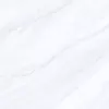 Gạch Viglacera VVGP8801
