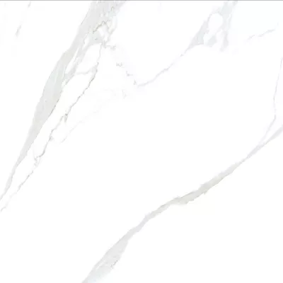 Gạch Viglacera VVGP8802