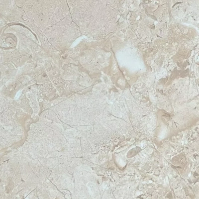 Gạch Ấn Độ HLA88003DS