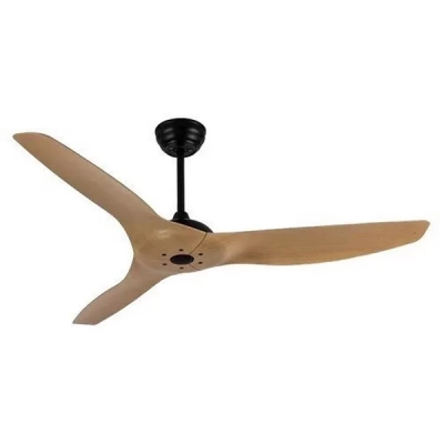 Quạt trần Evolve 2409