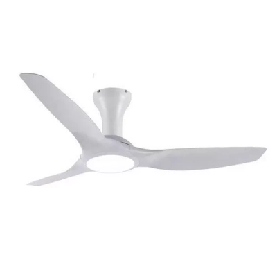 Quạt trần Evolve 2434