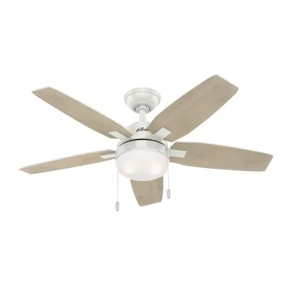 Quạt trần Hunter Arcot 50647