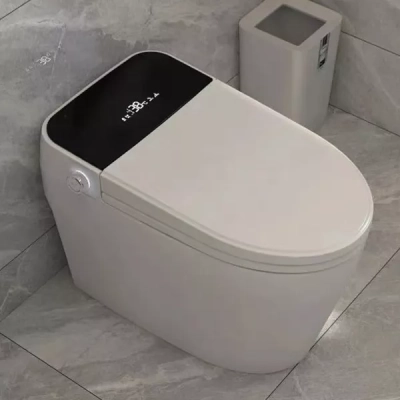 Bồn cầu thông minh Shinko SH6608