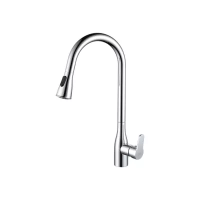 Vòi Rửa Bát D&K DK1392901