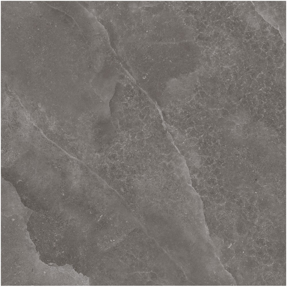 Gạch Monalisa FDS100263M 600x600